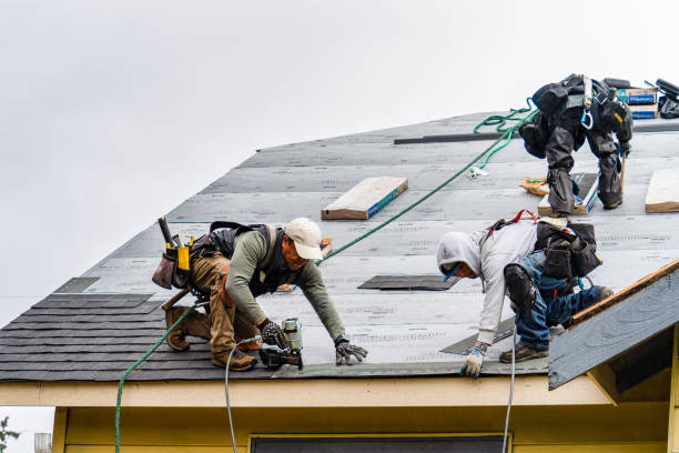 Professional Roofing technician working in Prague, NE